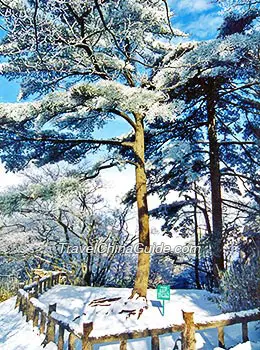 Snow scene of Mount Huangshan