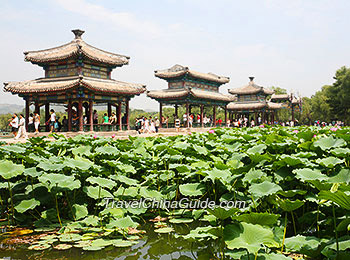 Lotus Pool in Chengde
