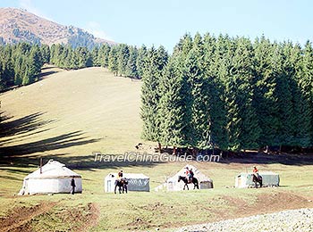 Southern Pastures, Urumqi