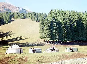 Prairie in Xinjiang