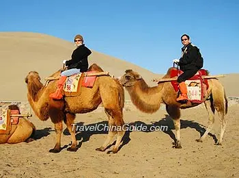 Camel Ride