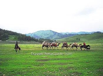 Kanas Lake Area, Xinjiang