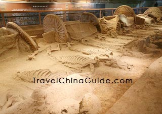 The Museum of Chinese Ancient Chariots