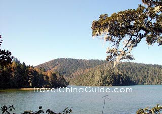 Bitahai, a famous alpine lake of Yunnan