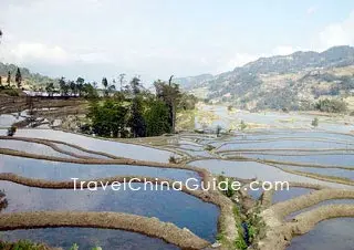 terraces of Hani Ethnic Group