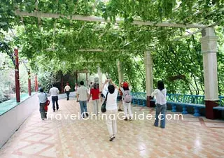 The Grape Festival in the Grape Valley, Turpan