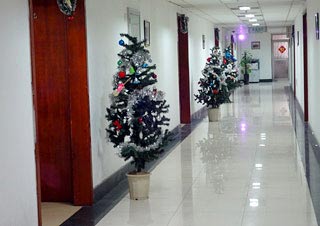 The Corridor of Our Company with Chistmas Decorations