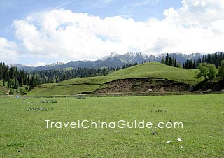 Bayanbulak Grassland is located at the foot of Tianshan Mountain 