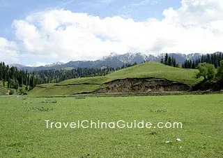 Bayanbulak Grassland is located at the foot of Tianshan Mountain