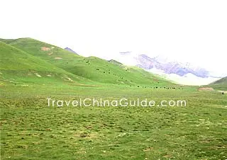 Haidong, Qinghai