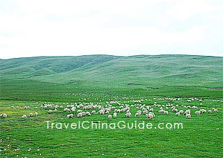 Jinyintan Prairie, Haibei