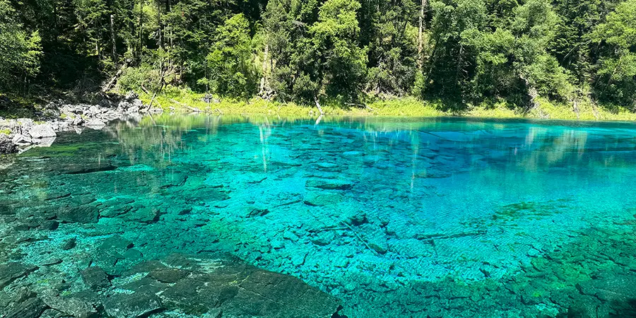 Five-Colored Pond 