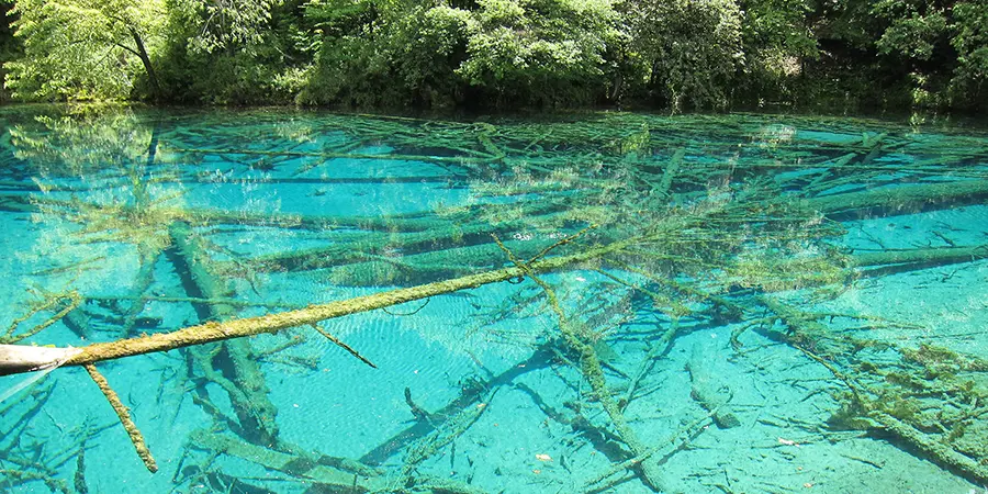 Our Guests in Jiuzhaigou Valley