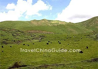 Haibei Tibetan Autonomous Prefecture 