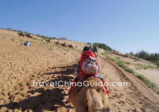 Camel Riding, Shapotou