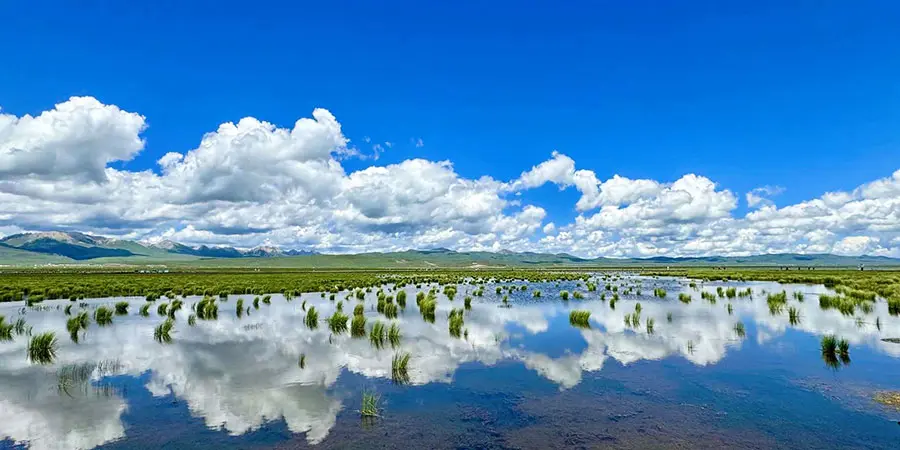 Flower Lake of Ruoergai Grassland
