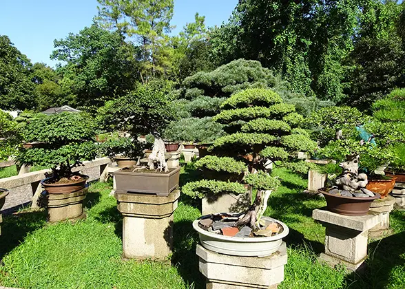 Sword Pool in the Tiger Hill