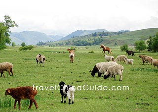 Bayanbulak Grassland, Bayingolin, Xinjiang 
