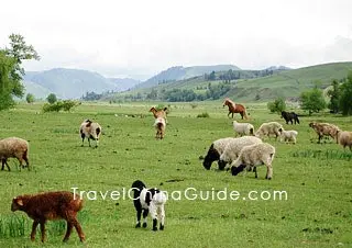 Bayanbulak Grassland, Bayingolin, Xinjiang