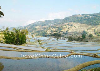 Yuanyang Rice Terraces, Honghe, Yunnan 