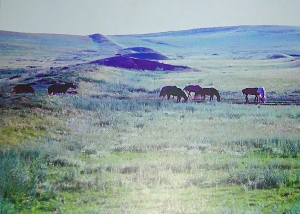 Ruins of Jin Great Wall in Siziwang Banner, Inner Mongolia