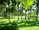 Dongjiao Coconut Plantation, Haikou