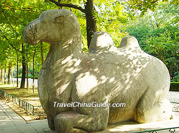 Stone Camel on Sacred Way, Ming Xiaoling Mausoleum, Nanjing
