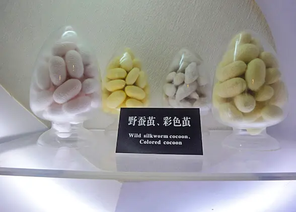 Model of Silkworm Breading