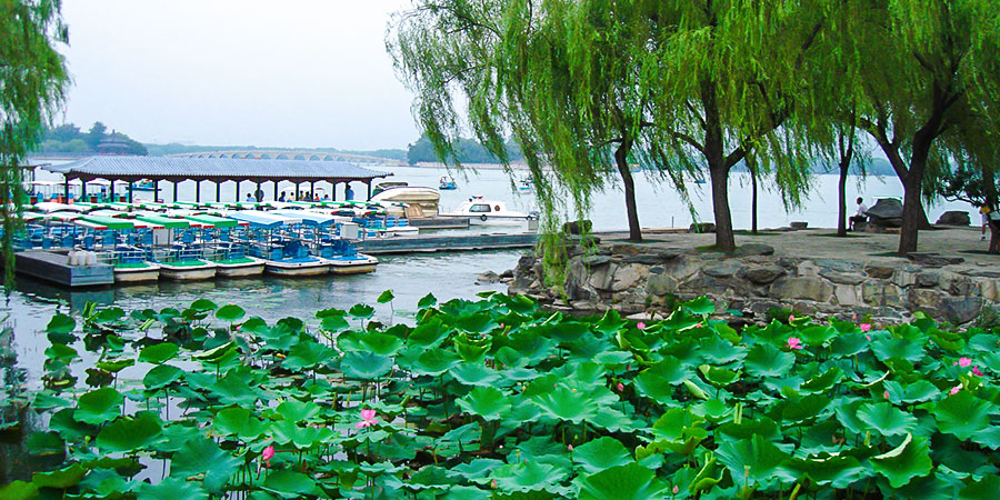 Lotus in Kunming Lake