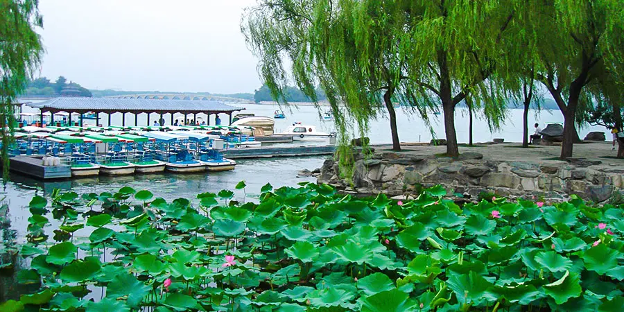 Lotus in Kunming Lake