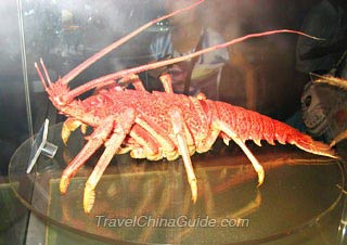 Lobster in Underwater World