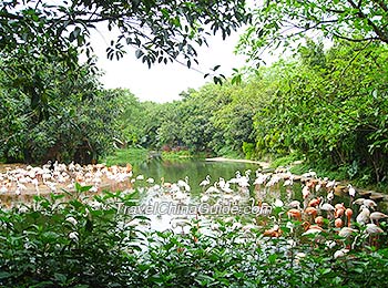Chimelong Xiangjiang Safari Park, Guangzhou