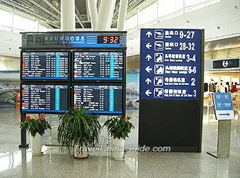 Departure Flight Information