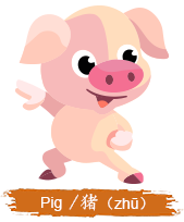 China Zodiac Animal - Pig