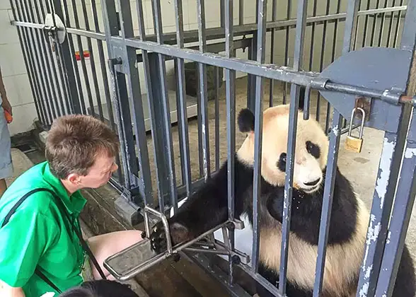 Panda Keeper Program in Dujiangyan Base