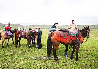 Horse Riding on Nalati