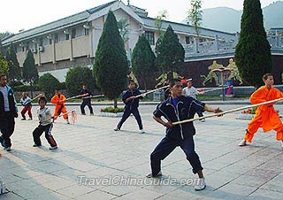 Shaolin martial arts