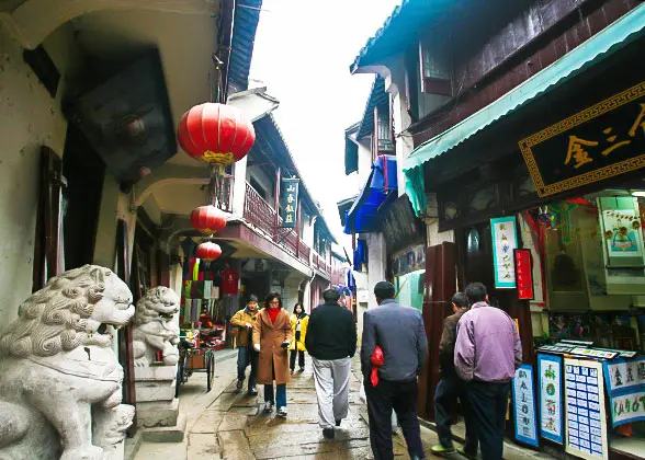 Narrow Lanes in the Town