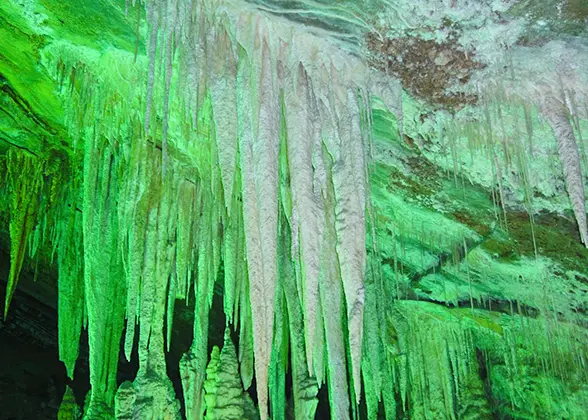 Stalactites under Colorful Lights