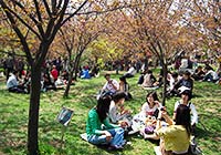 Yuyuantan Park in Spring