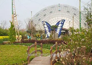 Butterfly Garden