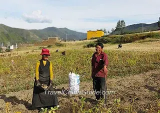 Xinduqiao Town in Western Sichuan