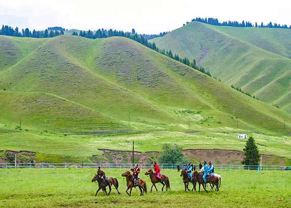 Southern Pasture