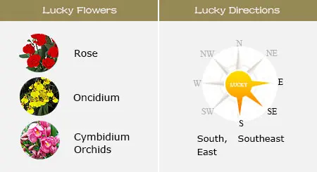 Chinese Years Chart