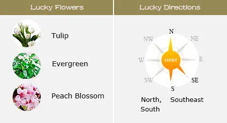 Lucky Flowers and Directions of Ox