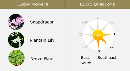 Chinese Zodiac And Elements Chart