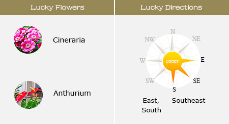 Lucky Flowers and Directions of Tiger