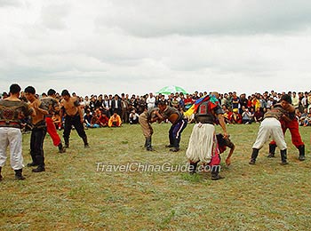 Mongolian Wrestling at Zhangbei Grassland