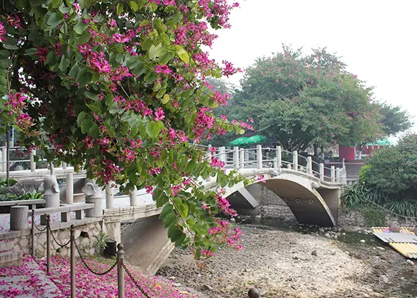 Love Island, Guilin