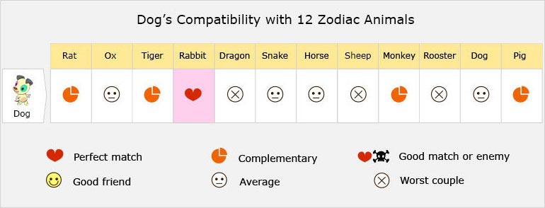 Dog's Compatibility with 12 Zodiac Animals